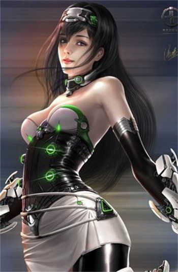 k9lady海豚是什么