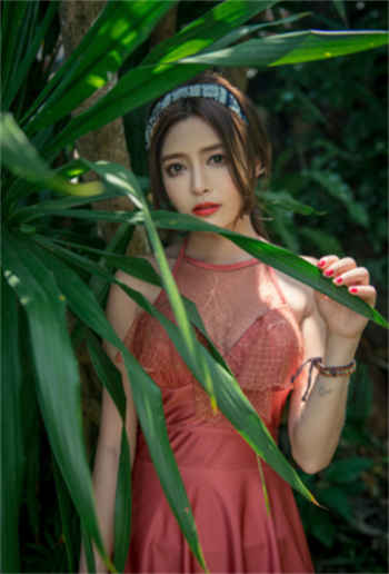 宋先生的宠妻计划夸克