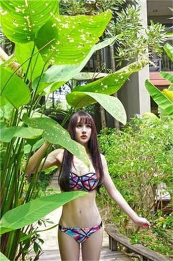 稻田影视国产电视剧