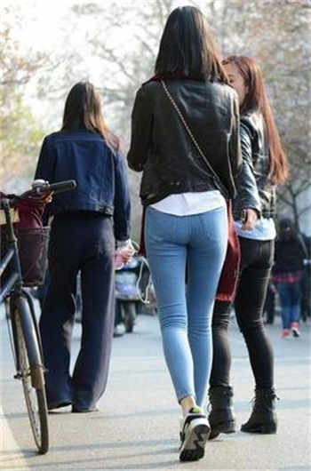 似风吻玫瑰