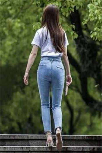 家有宠物母犬小说